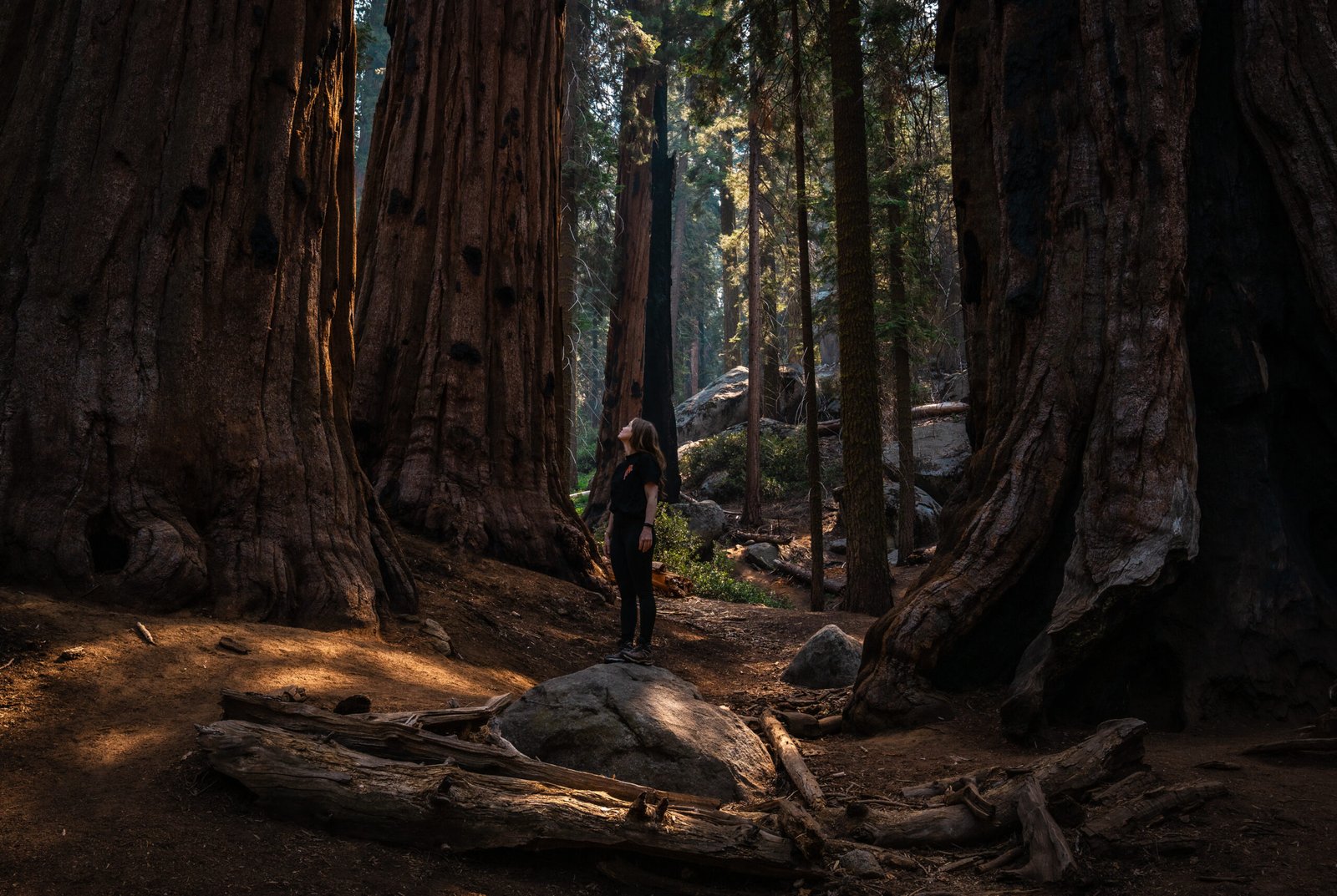 Sequoia National Park